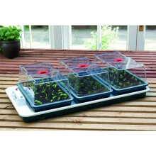Big 3 Automatic Temperature Control Electric Propagator Gardening