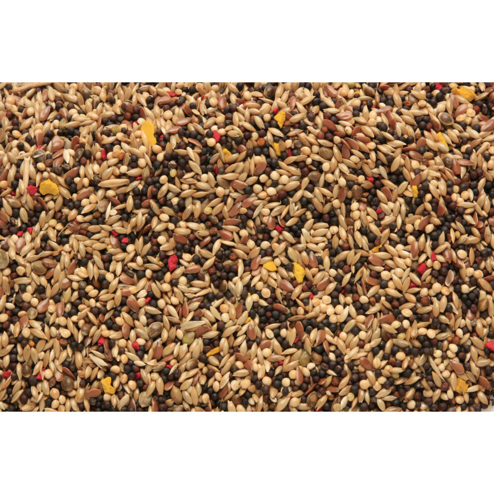 SkyGold Popular Canary Cage & Aviary Seed Mix 20Kg