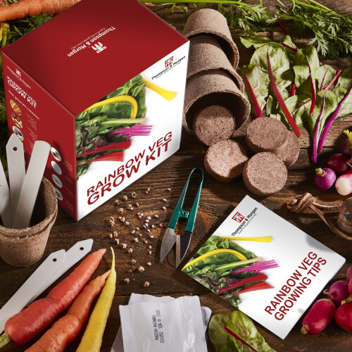 Rainbow Vegetable Seed Growing Kit Gift Box 5 Vibrant Varieties of