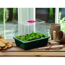 Small High Dome Propagator Home Planting Gardening