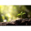 Vitax Vitax Perlite 10L Enhances Soil Health and Growth 3