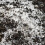 Vitax Vitax Perlite 10L Enhances Soil Health and Growth 7