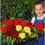 BEGONIA Double. Mixed Colours. 3