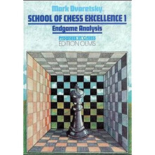 School of Chess Excellence 1: Endgame Analysis