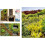 Facade Greenery 3