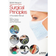 BSAVA Manual of Surgical Principles (BSAVA British Small Animal Veterinary Association)