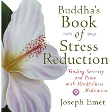 Buddha's Book Of Stress Reduction: Finding Serenity and Peace with Mindfulness Meditation