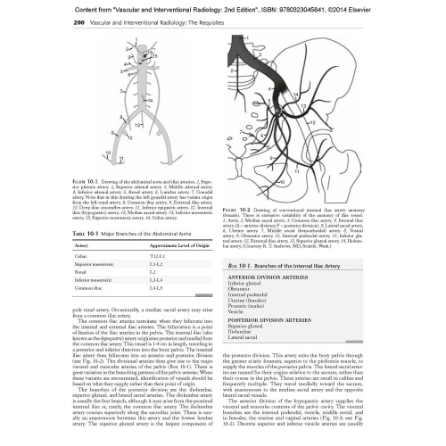 Vascular and Interventional Radiology: The Requisites, 2e (Requisites in Radiology) 1