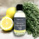 Potters Crouch Reed Diffuser Refill - Malabar Lemongrass 2