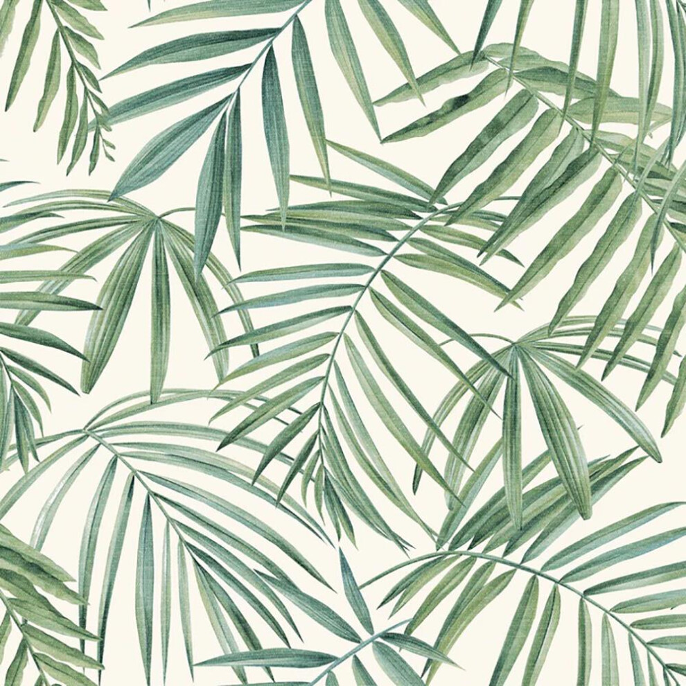 Arthouse Palm Leaves Wallpaper Tropical Botanical Trendy Green
