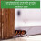 Xterminate Residex P Dusting Powder bed bug killer 5