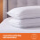 Silentnight Silentnight Warm & Cosy Pillows 2 Pack Luxury Overlocked Finish 5