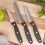 Alpina Alpina Deluxe 3 Piece Small Kitchen Knife Set 6