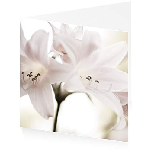 ArtPress Carte De Vœux De Sympathie Vintage Matchbox