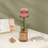 Kit de construcción Robotime Rosa Pink TW041 Madera 21 x 8,5 x 6,5 1