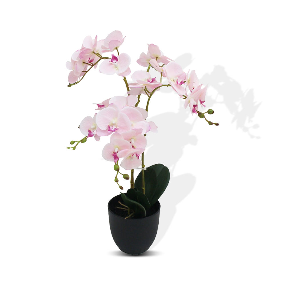 Stunning Orchid 60cm Artificial Display Featuring Large Plant and Delicate Flowers