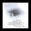 300Pcs 5.2x8 cm Diamond Pin Corsage Brooch Styling Pins for Wedding Jewelry DIY Decorative Quilting and Crafting 1