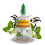 Air Wick Air Wick Vanilla & Honeysuckle Aerosol-Free Automatic Spray Refill 228ml  x 4 pack 4