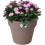 Elho Green Basics Top Planter 23cm Taupe 2