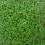 EVA Grass Effect Mat Interlocking - 1 pack (4 mats) Actiasmat 8