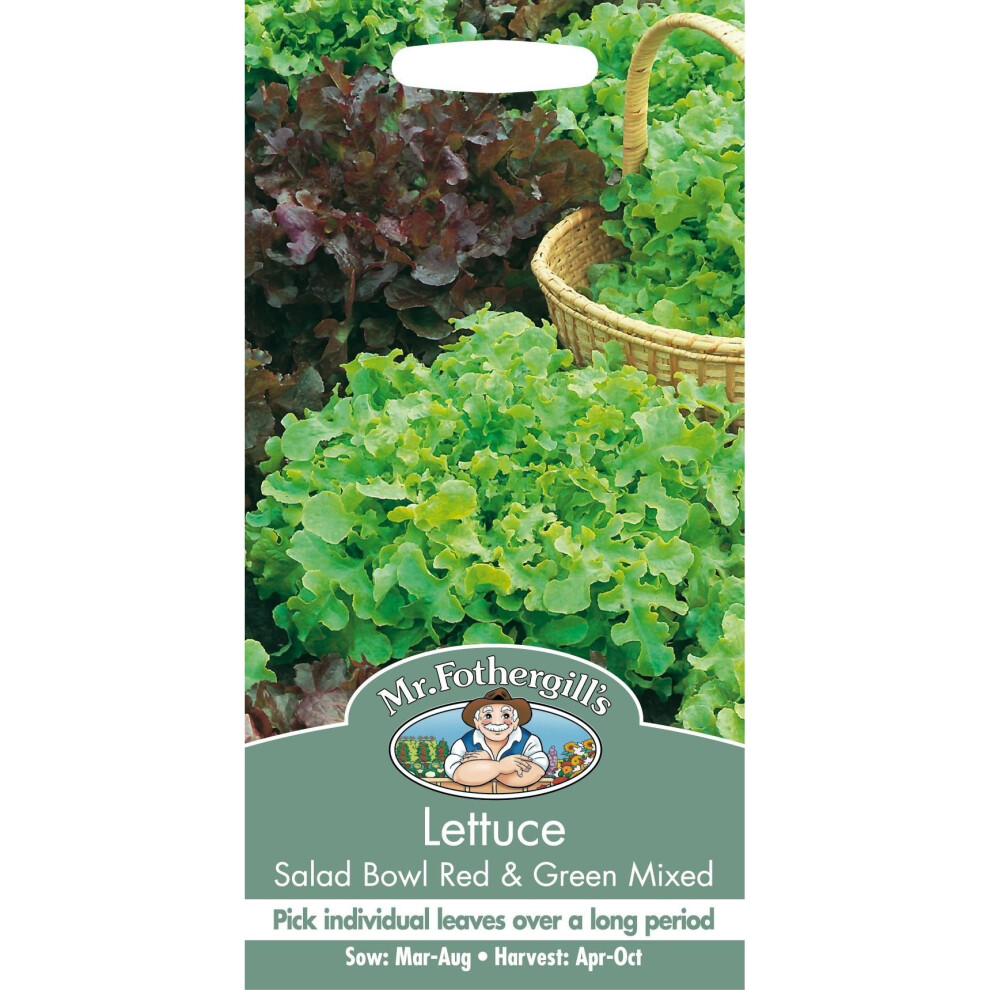 Mr Fothergill's - Pictorial Packet - Vegetable - Lettuce Salad Bowl & Mixed - 1250 Seeds Red/Green