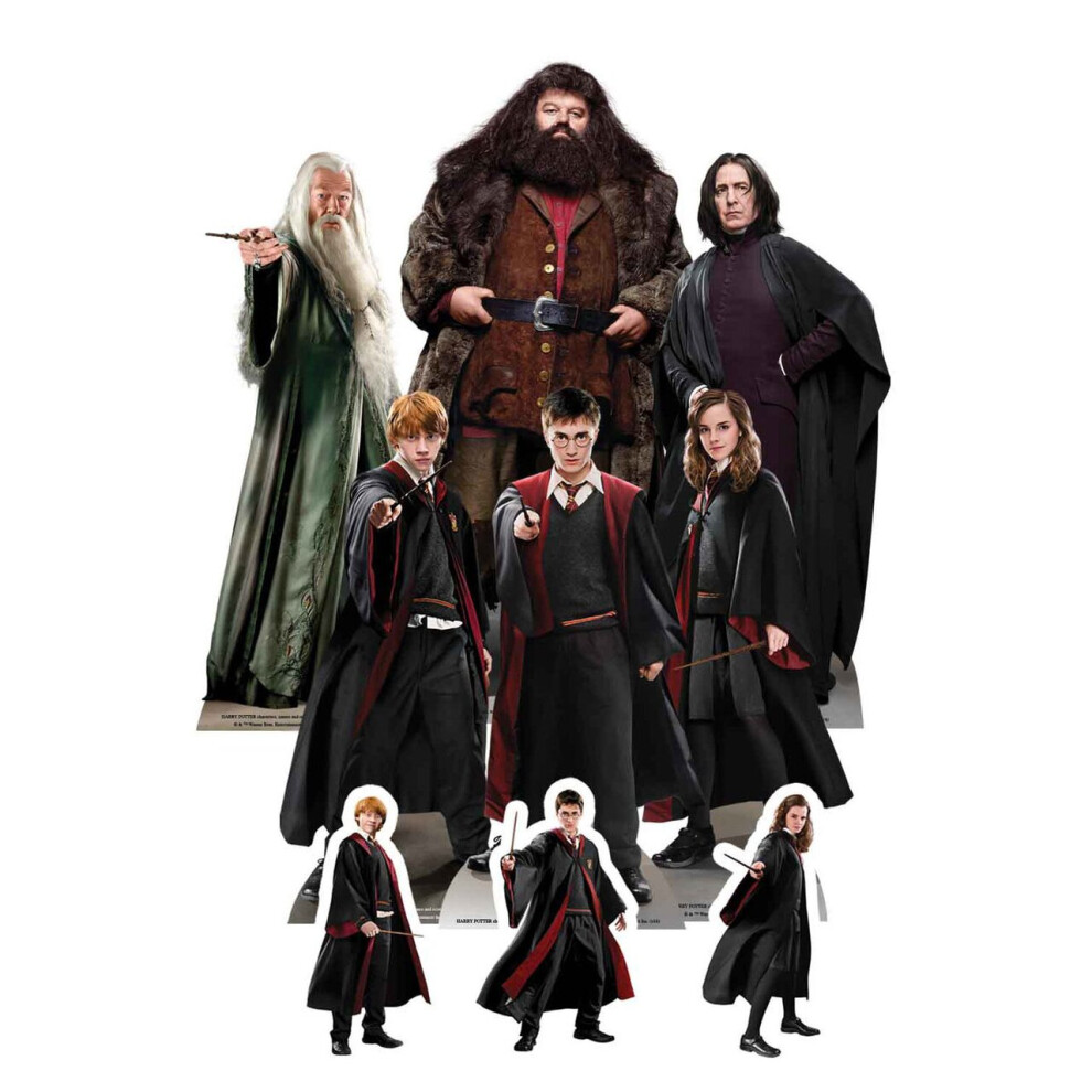 Harry Potter Table Top Cardboard Cutouts Party Pack of 9