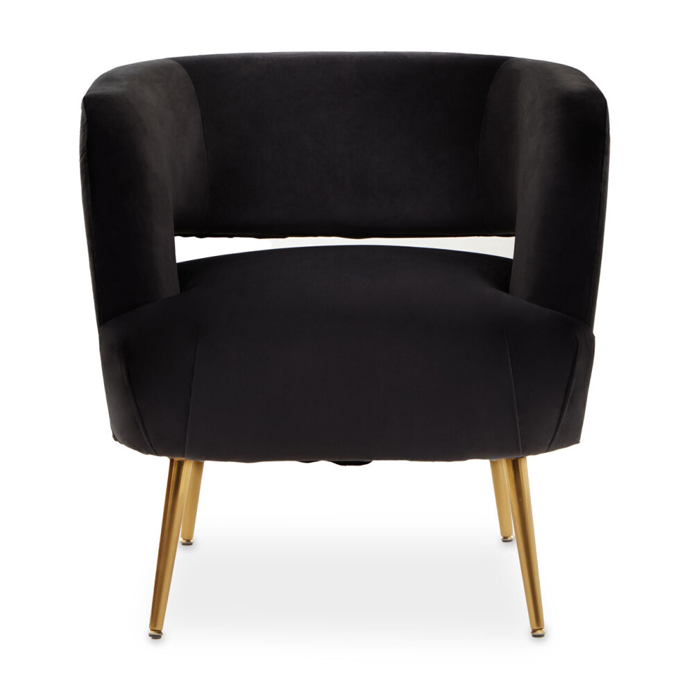 Black Velvet Chair with Gold Finish Metal Legs, Backrest Dining Chair, Easy to Clean Armchair-image-OPC-P8ZC9GJ-NEW