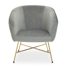 Grey Chair With Metal Frame, Comfy Grey Outdoor Velvet Chair Metal, Effortless Cleaning Velvet Chair