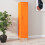 VidaXL vidaXL Locker Cabinet Orange Steel Storage Office Furniture Cabinet Organiser 1