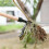 Foot-operated Weeder Outdoor Stand Up Weed Puller Claw Weeder Root Remover Tool 9