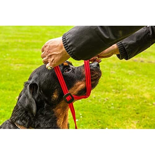 Gencon Medium Headcollar Left Black/Silver 1