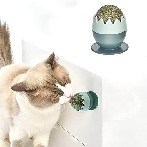 Aucenix Catnip Balls Toy for Cats Rotatable Edible Kitty Toys for Cats Lick Teeth Cleaning Dental Kitten Chew Toys Safe Healthy Cat Wall Treat on OnBuy