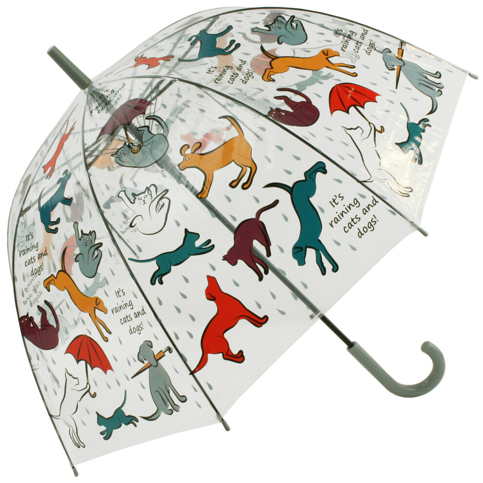 Fallen Fruits Ladies See-Through Umbrella - Its Raining Cats & Dogs