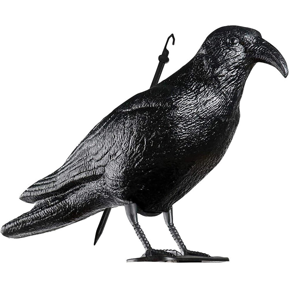 Black Crow Pest Deterrent Lifelike and Realistic Stake & Hanging Hook