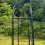 Selections Metal Windsor Garden Arch with Gate and Fixing Pegs 7