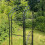 Selections Metal Windsor Garden Arch with Gate and Fixing Pegs 10