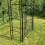 Selections Metal Windsor Garden Arch with Gate and Fixing Pegs 9