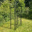 Selections Metal Windsor Garden Arch with Gate and Fixing Pegs 6