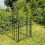 Selections Metal Windsor Garden Arch with Gate and Fixing Pegs 3