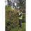 DeWalt Accu-heggenschaar - DEWALT - DCMHT563N - mes van 55 cm 5