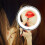 Portable 10x Magnifying Makeup Vanity Mirror with LED Light 6