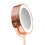Rio Rose Gold Double Sided Cosmetic LED Mirror 10