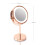Rio Rose Gold Double Sided Cosmetic LED Mirror 14