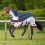 (Navy Blue, 6ft 3) Gallop Equestrian Trojan Fly Turnout Combo 1