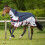 (Navy Blue, 6ft 3) Gallop Equestrian Trojan Fly Turnout Combo 2