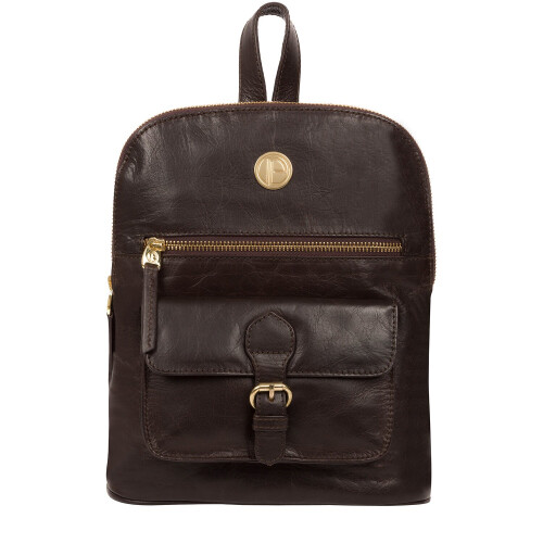 'Zinnia' Dark Brown Leather Backpack 1
