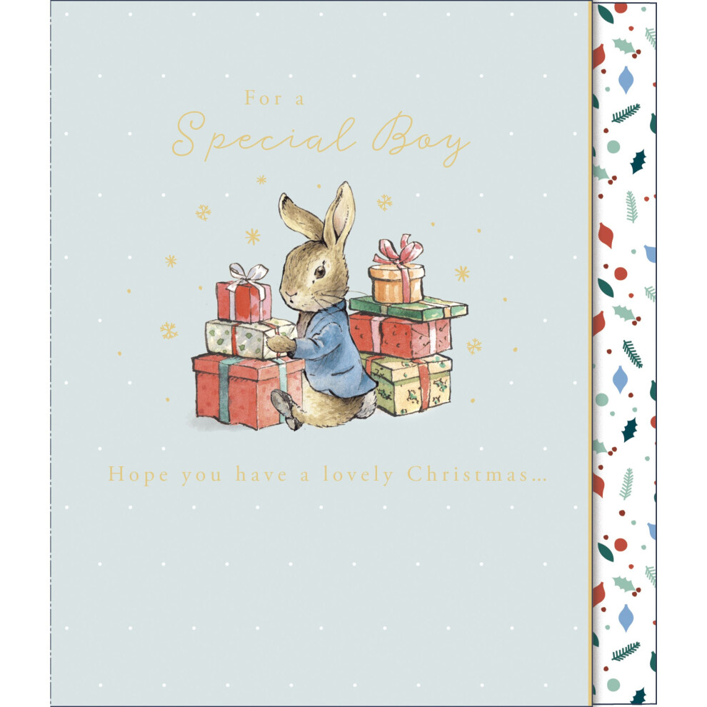 Peter Rabbit For A Special Boy Cute Christmas Card Xmas Greeting Cards