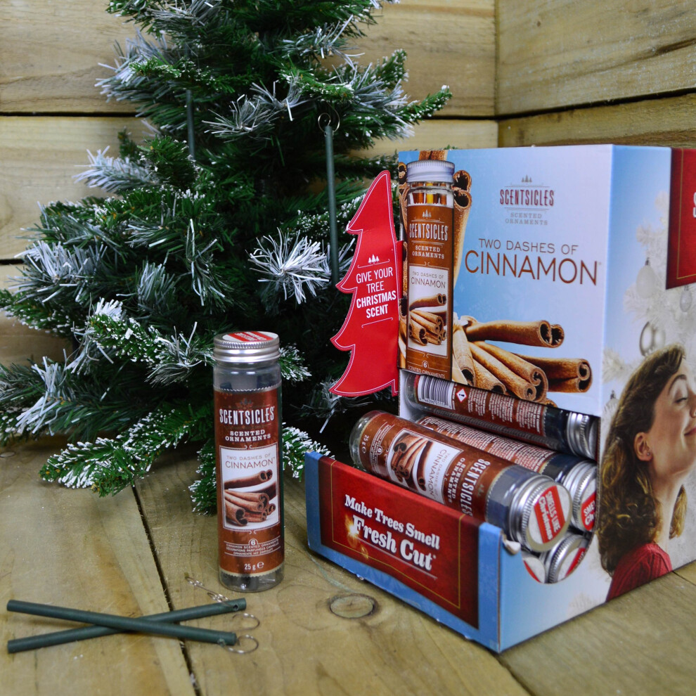 3 PACKS of 6 Scentsicles Scented Hanging Ornaments Sticks - Two Dashes of Cinnamon-image-OPC-PB5P2YH-NEW