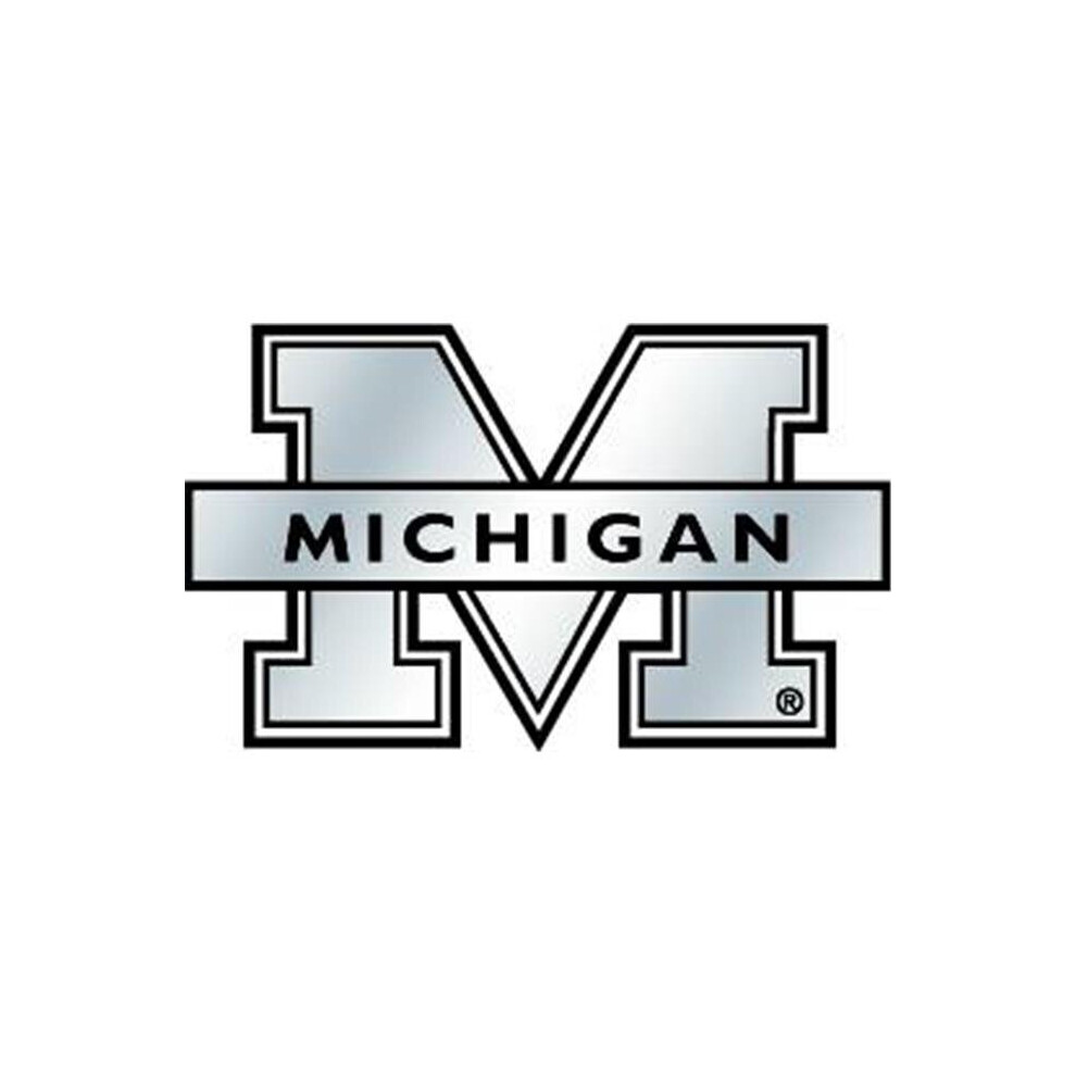 Michigan Wolverines Auto Emblem - Silver 758218572986
