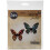 Sizzix Thinlits Die Set 661802 Mini Butterfly af Tim Hotlz 4 Pack Multi Color One Size 1